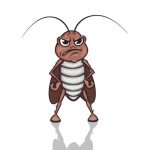 Cockroach Cockroach
