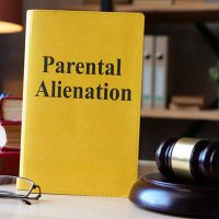 ParentalAlienation3 ParentalAlienation3